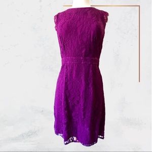Fuchsia Lace Mini Dress by Brixon Ivy